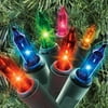 Commercial Grade Multi-Colored Mini Lights, 51'