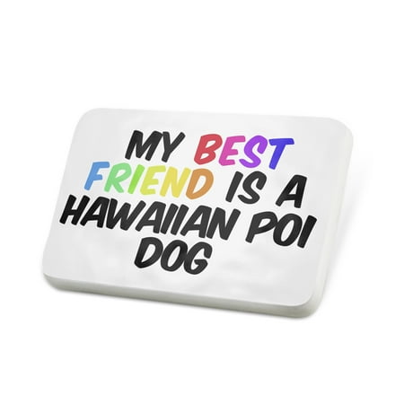 Porcelein Pin My best Friend a Hawaiian Poi Dog from United States Lapel Badge –
