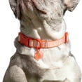 thumbnail image 3 of Oodles Smiley Charm Striped Polyester Fashion Dog Collar, Red, Small, 3 of 9