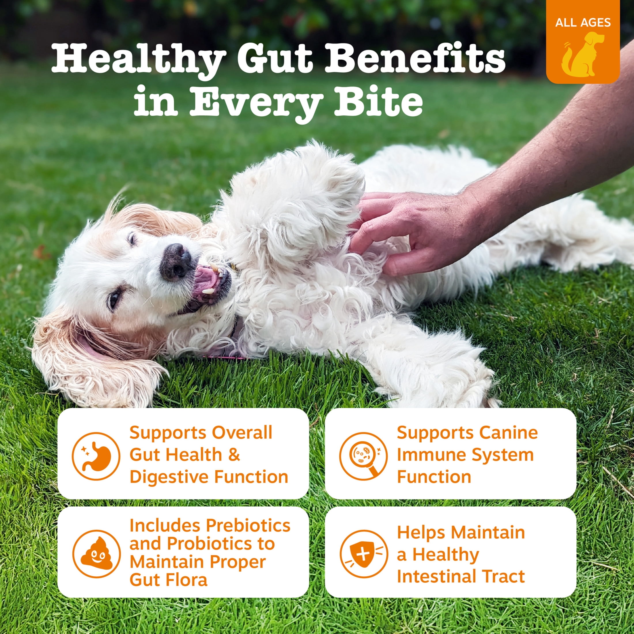 Zesty Paws Probiotic Bites Chicken Flavor Dog Supplement, 90 Count