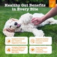 thumbnail image 3 of Zesty Paws Probiotic Bites Chicken Flavor Dog Supplement, 90 Count, 3 of 10