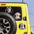thumbnail image 3 of 5 Styles Cute Dog Breeds Vinyl Decal Stickers Labrador Golden Retriever Vinyl Decal Self Adhesive Waterproof Car Window Sign Stickers for Windows Cars Trucks Skateboard Wall Cup Laptop Multi-color, 3 of 9