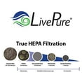 LivePure True HEPA Replacement LPHF550 Filter for Bali Series Air