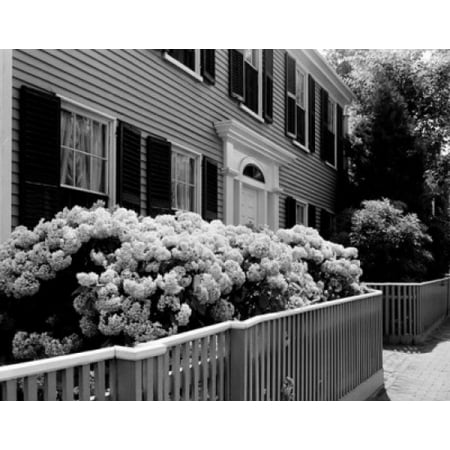 USA Massachusetts Nantucket building with flowers in front yard Canvas Art -  (18 x