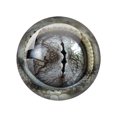 thumbnail image 3 of Cabujón de cristal con forma de ojo de dragón en pares, 12 mm, 16 mm, 18 mm, 20 mm y 25 mm, redondo, para fotografía, con parte trasera plana, 3 of 5