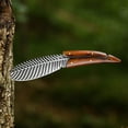 thumbnail image 3 of Dispatch 8" Fixed Blade Knife, Kitchen Cleaver Knife with Sheath for Outdoor Camping, 3 of 8