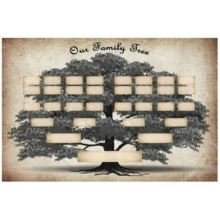 Blank Family Tree Diagram 7 Generations Fillable Family Tree Poster Genealogy  Charts 40x60cm/15.75x23.62inch Photo Cloth