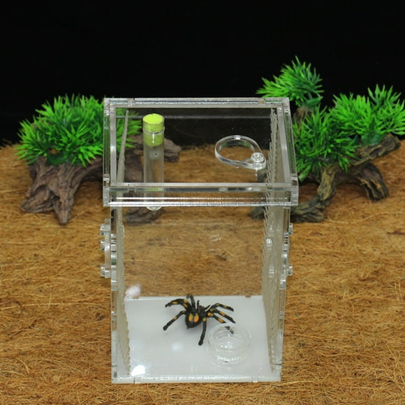 , Reptiles Terrarium, Wet Reptiles Acrylic For Turtles
