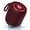 Red, variant on Heysong Solo Portable Bluetooth Speaker, 16W Stereo Sound, IP67 Waterproof, TWS Pairing, RGB LED Lights, Wireless Outdoor Speaker with Built-in Mic, Rechargeable Battery