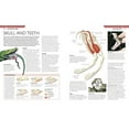 thumbnail image 4 of Snake: The Essential Visual Guide, 4 of 4
