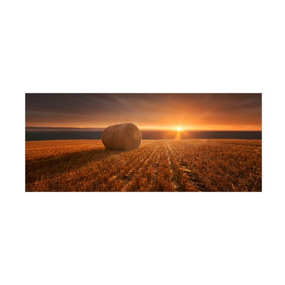 Marcin Krakowski 'Gold Harvest' Canvas Art