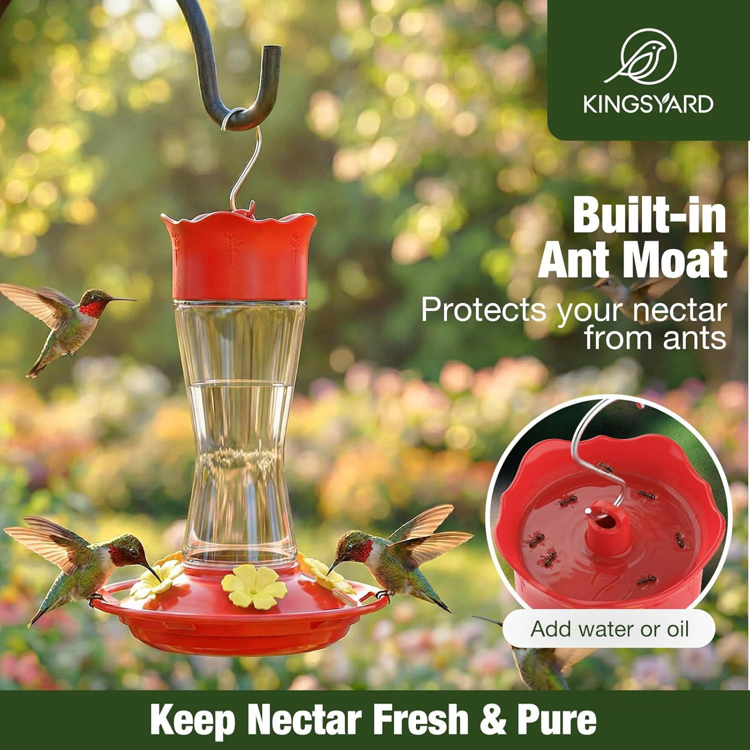 Glass Hummingbird Feeder for Outdoors Hanging, 10 oz Leak-Proof Humming Bird Feeders with Ant Moat & Bee Proof Feeding Ports, Hummingbird Gift for Bird Lovers (Clear)