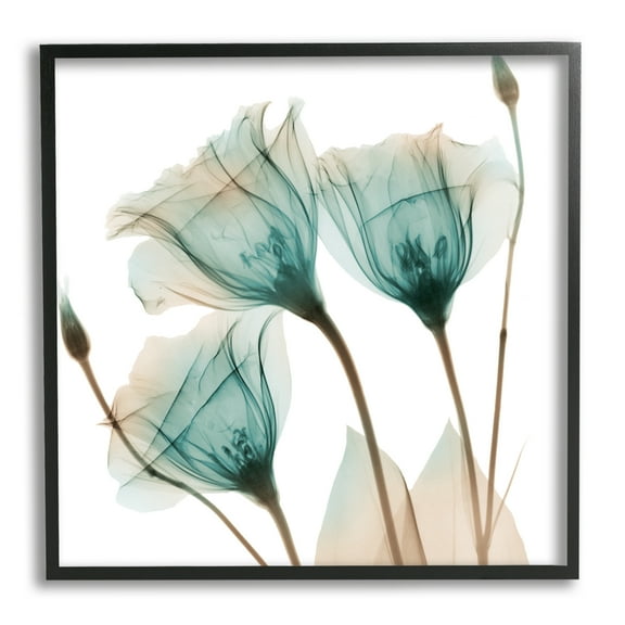 Stupell Industries Spring Tulip Florals Translucent Plant Photography, 12 x 12, Design by Albert Koetsier