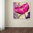 thumbnail image 3 of Trademark Fine Art " Pink Poppy I " Canvas Art by Color Bakery, 3 of 3