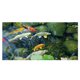 thumbnail image 1 of 1 Uds. Pegatina autoadhesiva grande para suelo para baño, cocina, muebles, pared, dormitorio, azulejos, pared DIY, 1 of 8