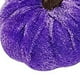 thumbnail image 3 of Txlixc Mini - calabazas de terciopelo, pequeñas calabazas artificiales para decoraciones de Acción de gracias Txlixc  moda, 3 of 9