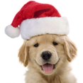 thumbnail image 4 of Sombrero de Navidad de felpa para niños pequeños, de 3 a 10 años, rojo Feliz Sencillez, 4 of 5