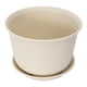 thumbnail image 1 of unbranded Macetas De Plástico Beige Para Plantas Con Drenaje Y Textura Lisa Para Suculentas Y, 1 of 8