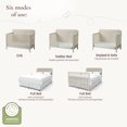 thumbnail image 3 of Little Seeds Little Seeds Sprig 6-in-1 Convertible Crib, Whitewash Natural, 3 of 11