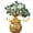 Green, variant on HOARBOEG Feng Shui Money Tree with Citrine Crystals – Wealth & Success Bonsai for Home/Office Decor, Good Luck Gift, Prosperity Stone for Abundance, Business, Harmony