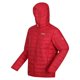 thumbnail image 3 of Regatta - Chaqueta Hillpack Con Capucha para Hombre (Rojo Oscuro) Regatta UTRG8445_darkred, 3 of 6