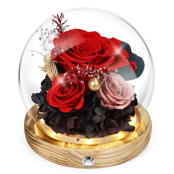 MixMart Preserved Roses,Long-Lasting Real Flowers,Glass Dome Flower,Unique Floral Gift for Girlfriend Wife Present Anniversary&Mother's Day Present Christmas Thanksgiving Wedding House Warming purple