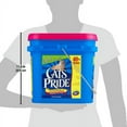 Cat's Pride 01923 Cat Litter, 22lb