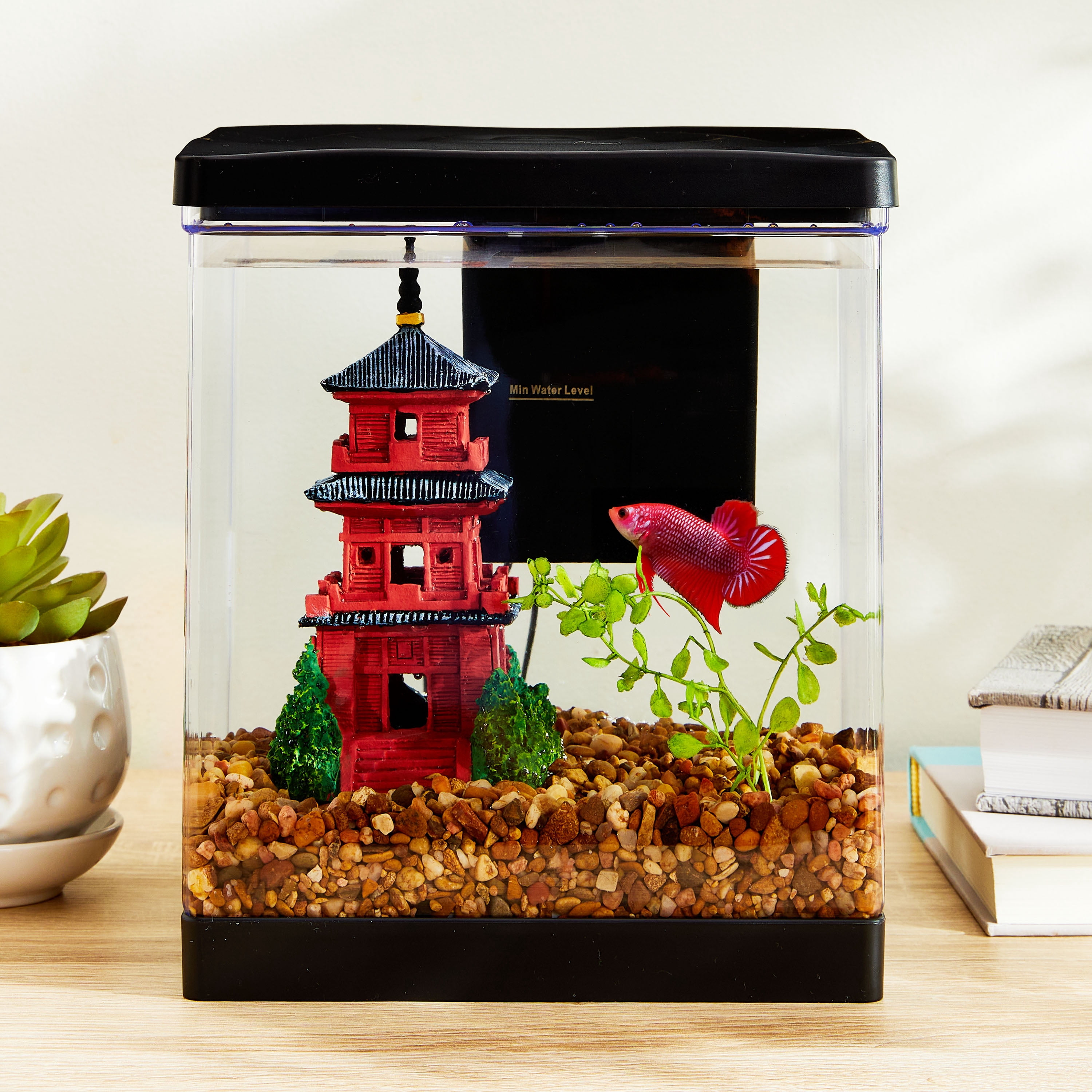 Vibrant Life Betta View Aquarium Starter Kit, Small, 1.5 Gallon