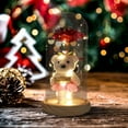 thumbnail image 6 of RBCKVXZ Preserved Rose Teddy Bear Night Light - 6" Glass Dome LED Lamp with Wood Base, Battery Operated Gift for Valentine's Day/Birthday/Anniversary, 6 of 8