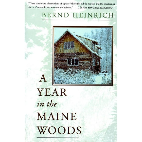 A Year in the Maine Woods, (Paperback)