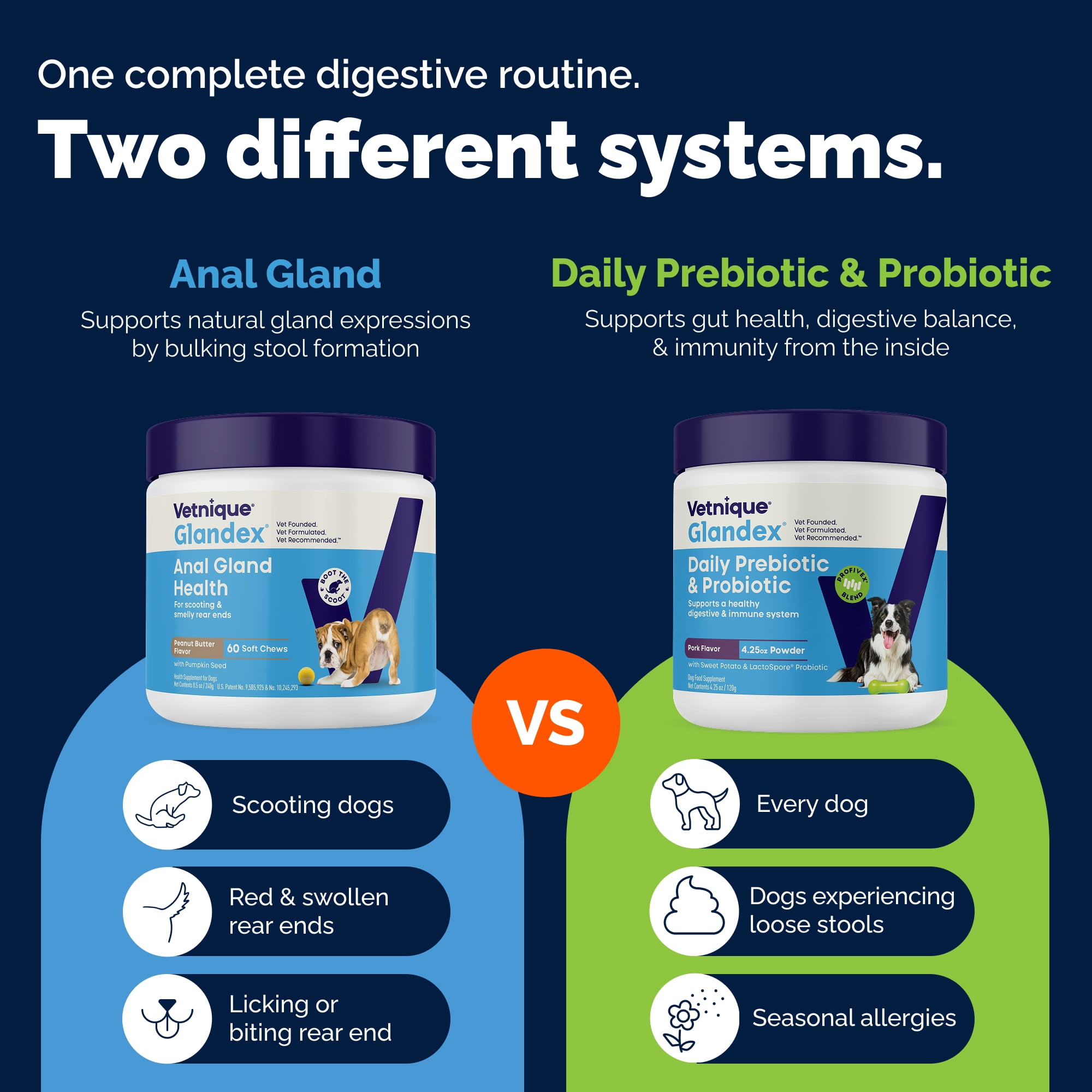 Vetnique Glandex Daily Prebiotic & Probiotic for Dogs, Gut & Immune Support Chews, 120ct