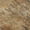 Copper, variant on Addison Rugs Mayfield Premium Machine Washable Transitional Abstract Copper Rectangle Rug, 10' x 14'