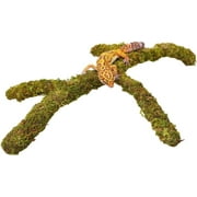 Leopard Gecko Tank Accessories, Adjustable Climbing Toys Supplies, Terrarium Habitat Decor