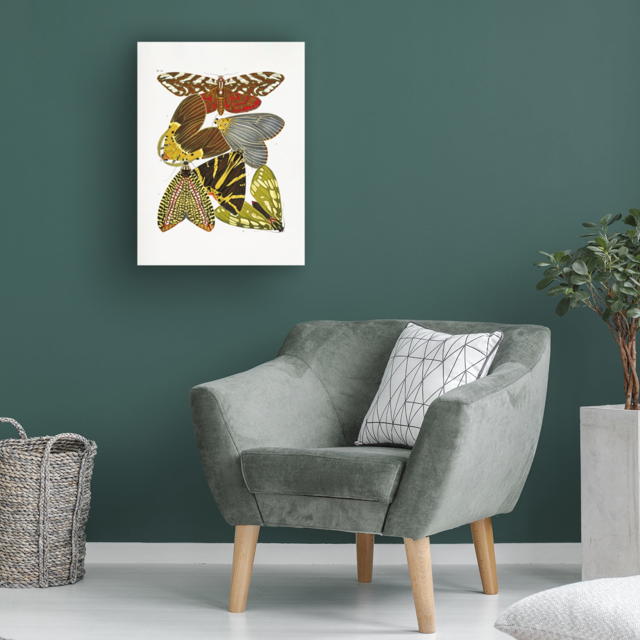 Trademark Fine Art Pictufy Butterflies 6 Canvas Wall Art