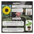 thumbnail image 3 of Semillas Girasol Gigante Vita, 3 of 5