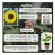 thumbnail image 3 of Semillas Girasol Gigante Vita, 3 of 5