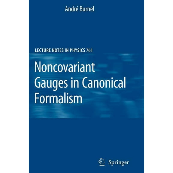 Lecture Notes in Physics Noncovariant Gauges in Canonical Formalism, Book 761, (Paperback)
