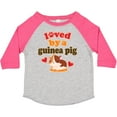 thumbnail image 3 of Inktastic Guinea Pig Pet Owner Gift Boys or Girls Toddler T-Shirt, 3 of 5