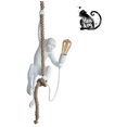 thumbnail image 1 of Suspension singe "Monkey Ximpa" | Blanc Kuyhfg Bienvenido a Kuyhfg, 1 of 4