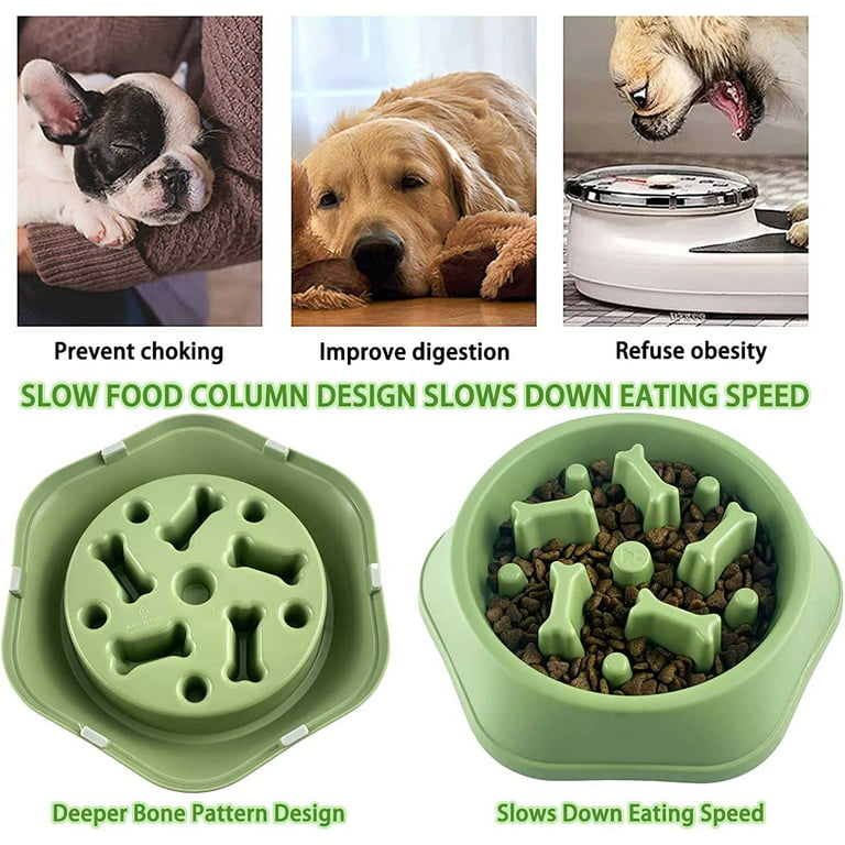 Maze Puzzle Water Dish Feeder Anti-Gulping Dog Food Cat Feeding For Bowl  Slow Slip Puppy Bowl Eating Fun Dog Slow Pet Bowls Non - AliExpress