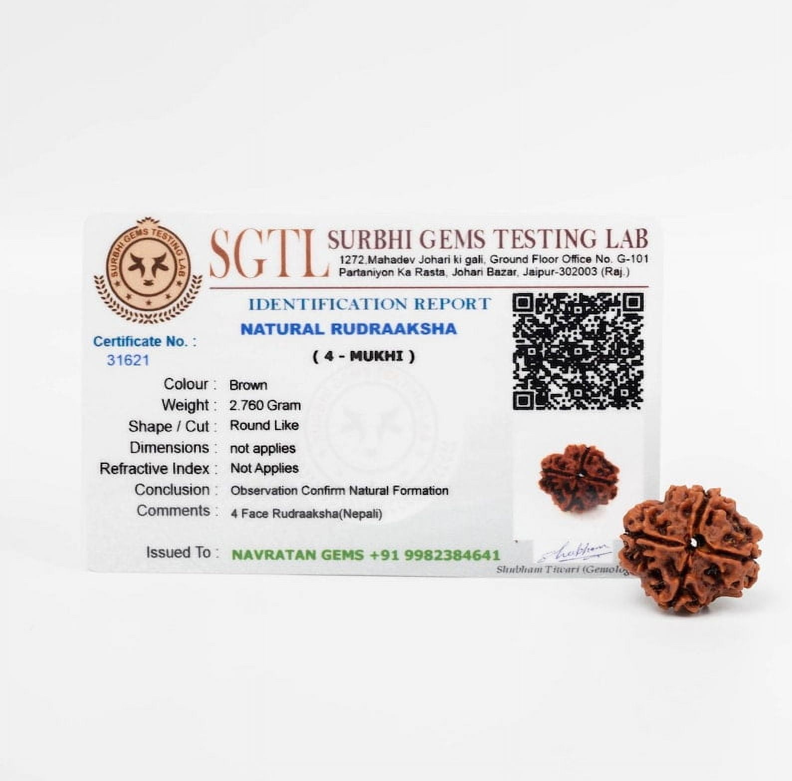 Navratan Gems Certified Authentic 4 Mukhi Nepali Rudraksha|Genuine Four-Faced Rudraksha Bead for Men & Women