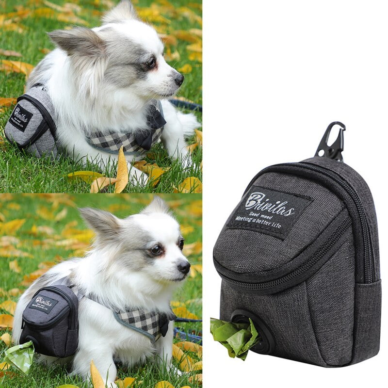 Dog lead with poop bag holder best sale