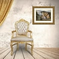 thumbnail image 3 of Raphael 32x24 Gold Ornate Wood Framed with Double Matting Museum Art Print Titled - Moses Found In The Bulrushes, 3 of 4