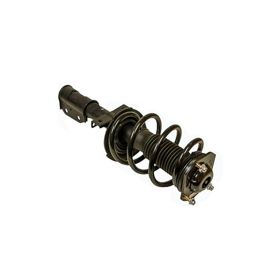 Front Suspension Strut and Coil Spring Assembly