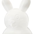 thumbnail image 5 of Plastic Bunny Container, White, 10.25", Easter by Way To Celebrate, 5 of 5