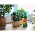 thumbnail image 2 of Miracle-Gro Succulent Plant Food 236mL, 2 of 6