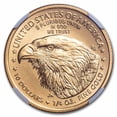 thumbnail image 3 of 2023 1/4 oz American Gold Eagle MS-70 NGC, 3 of 3