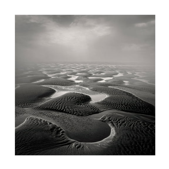 Trademark Fine Art Jean Luc BILLET  Sandwind Vent de Sable Canvas Wall Art