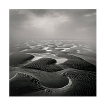 Trademark Fine Art Jean Luc BILLET Sandwind Vent de Sable Canvas Wall Art