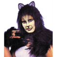thumbnail image 1 of Cat Accessory Pack Black, 1 of 1